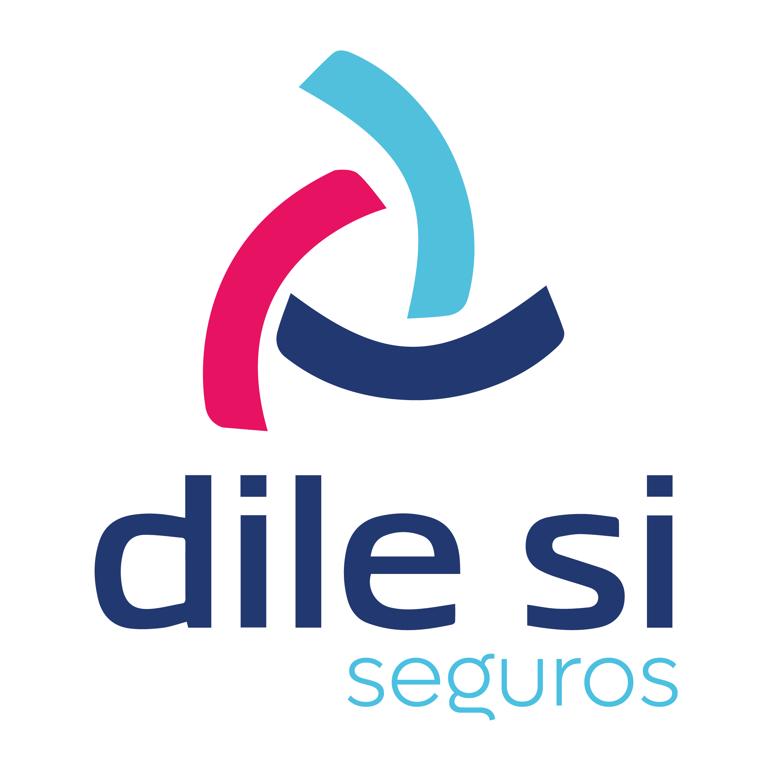 Dile Si Seguros LTDA. 2025
